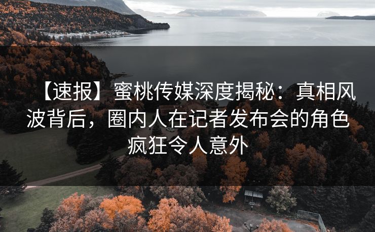 【速报】蜜桃传媒深度揭秘：真相风波背后，圈内人在记者发布会的角色疯狂令人意外