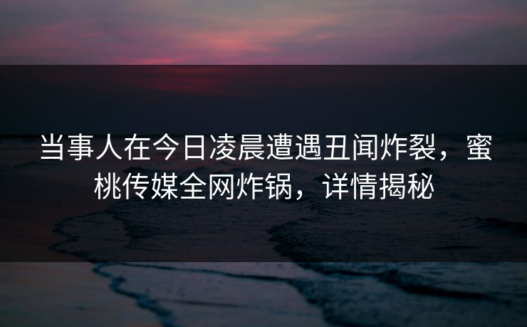当事人在今日凌晨遭遇丑闻炸裂，蜜桃传媒全网炸锅，详情揭秘